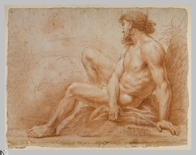 Nudo maschile